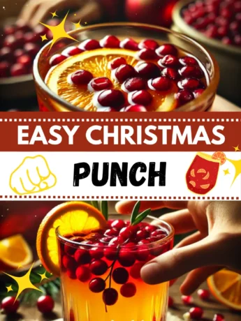 Refreshing Christmas punch with cranberries, orange slices, and pomegranate seeds for garnish