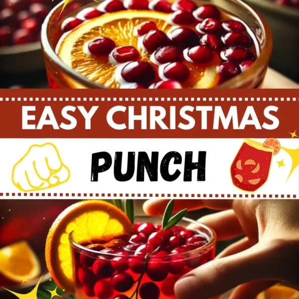 Refreshing Christmas punch with cranberries, orange slices, and pomegranate seeds for garnish