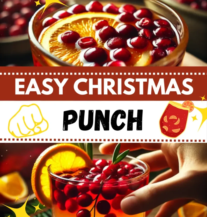 Refreshing Christmas punch with cranberries, orange slices, and pomegranate seeds for garnish